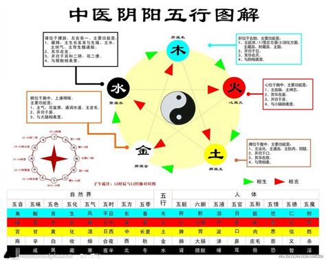 身體五行|中醫基礎/五行學說